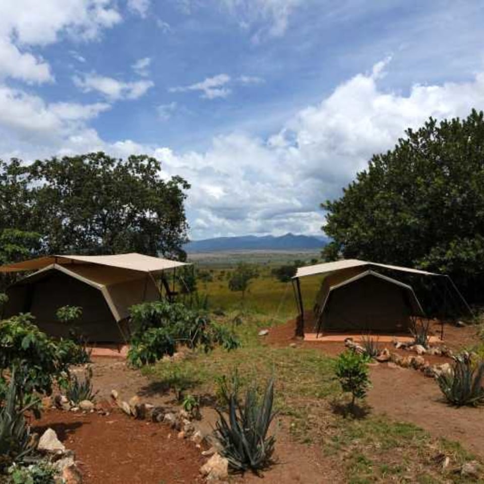 Kipedo Savannah Lodge Campingzelt